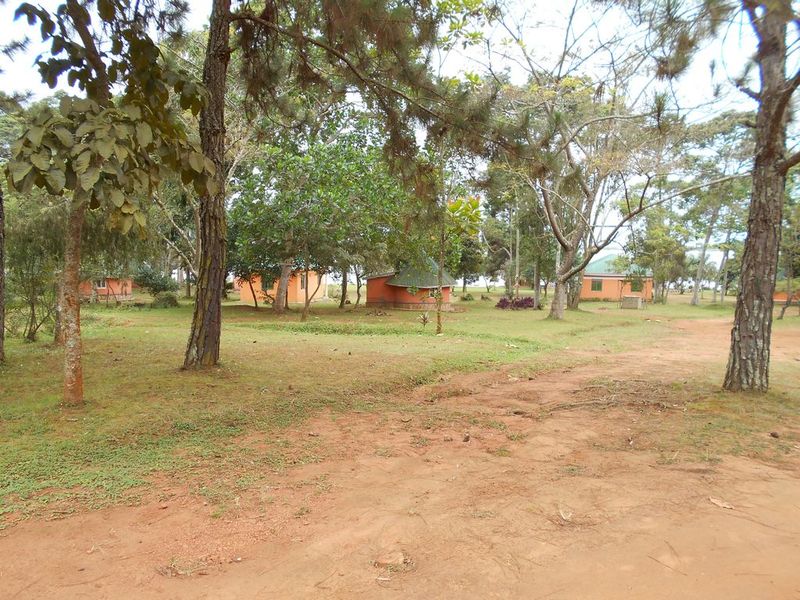 Kalangala Pearl Beach Resort — main photo