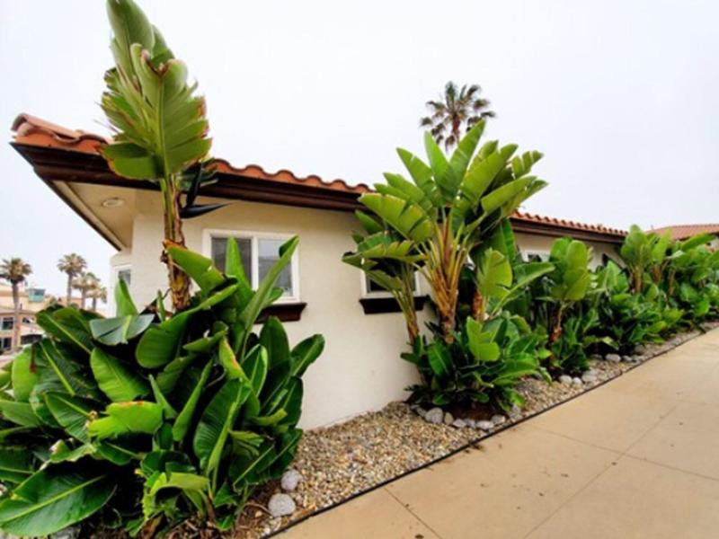 Sand Castle Inn And Suites image