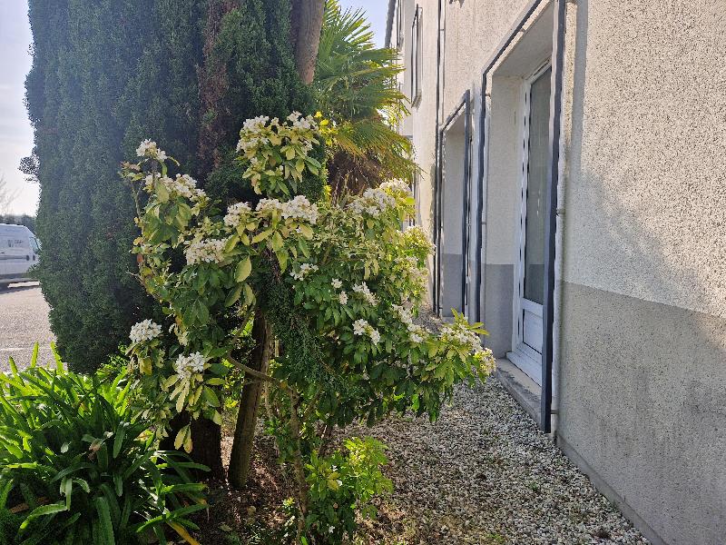 Kyriad Quimper Sud image