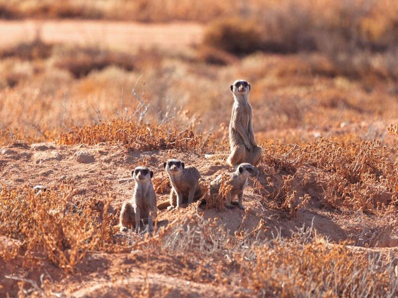 Africamps Klein Karoo