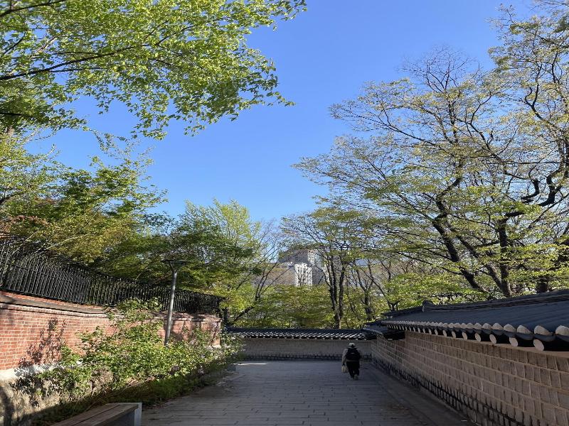Hotel Doma Myeongdong image