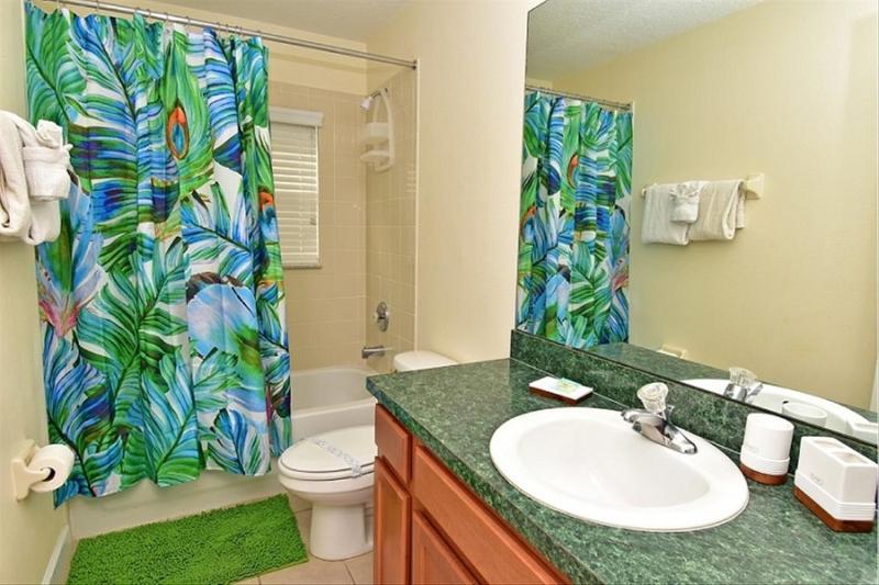 Disney Area Standard Homes image