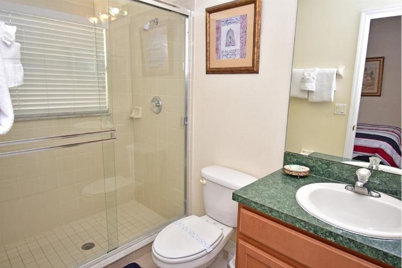 Disney Area Standard Homes image