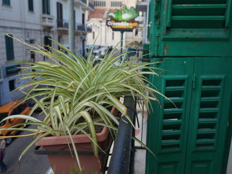 B&B Casa Laganà image