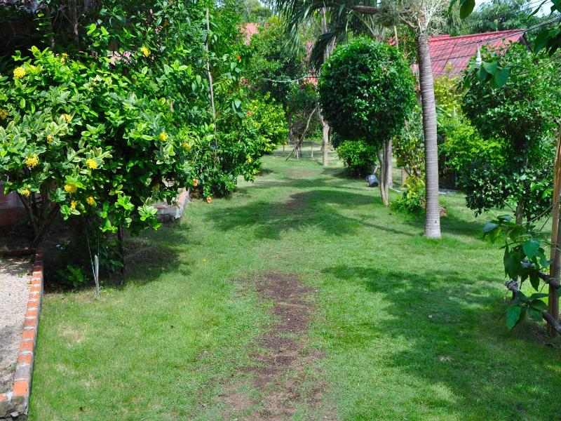 Coral Bungalows image