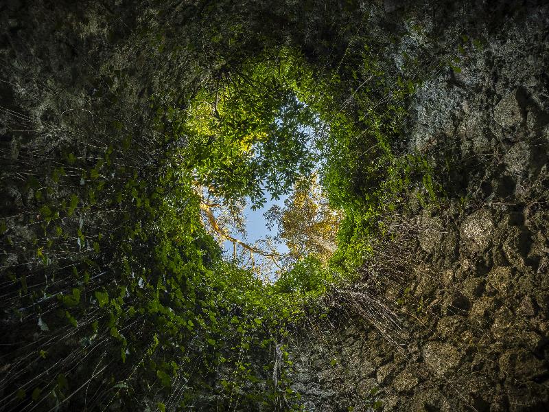 Sintra Marmoris Palace image