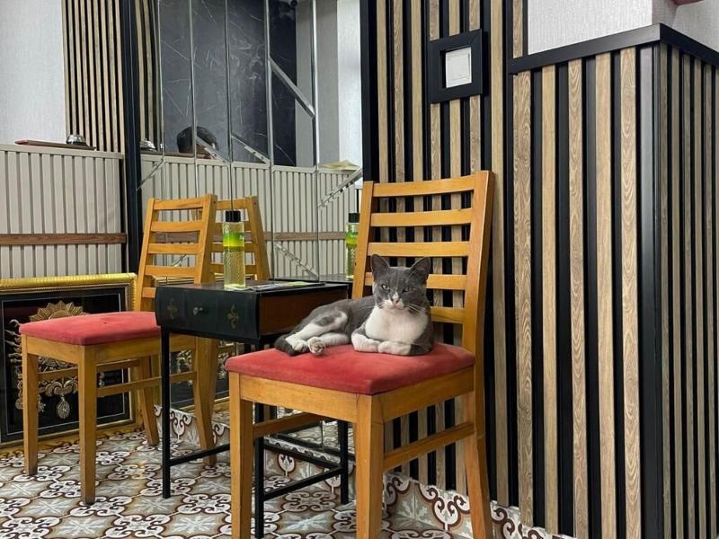 Taksim Park Suites image