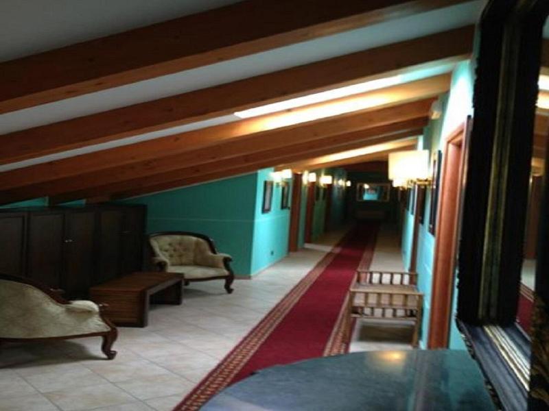 Hotel Lion image