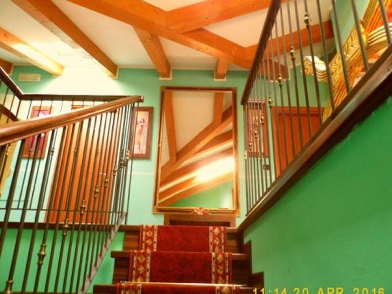 Hotel Lion image