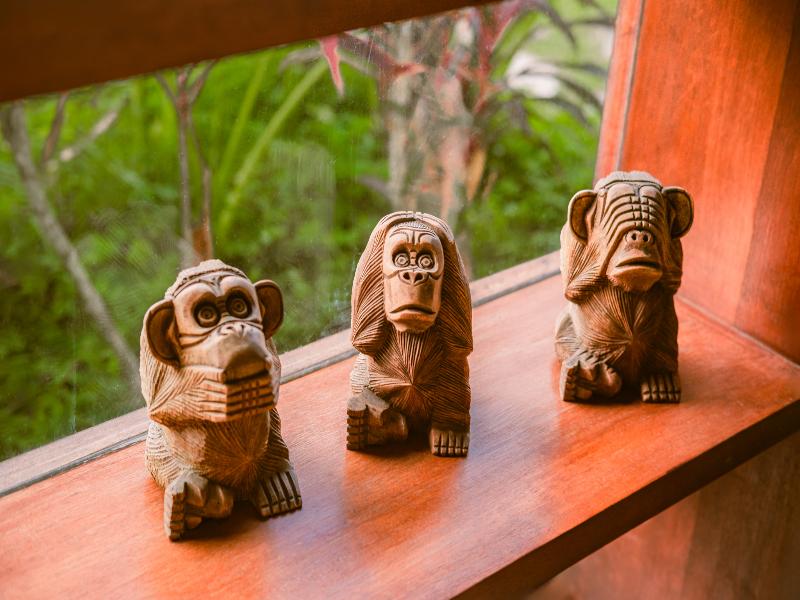 BeingSattvaa Luxury Ubud image