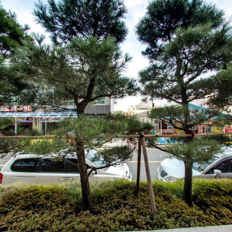 Mudrin Hotel image