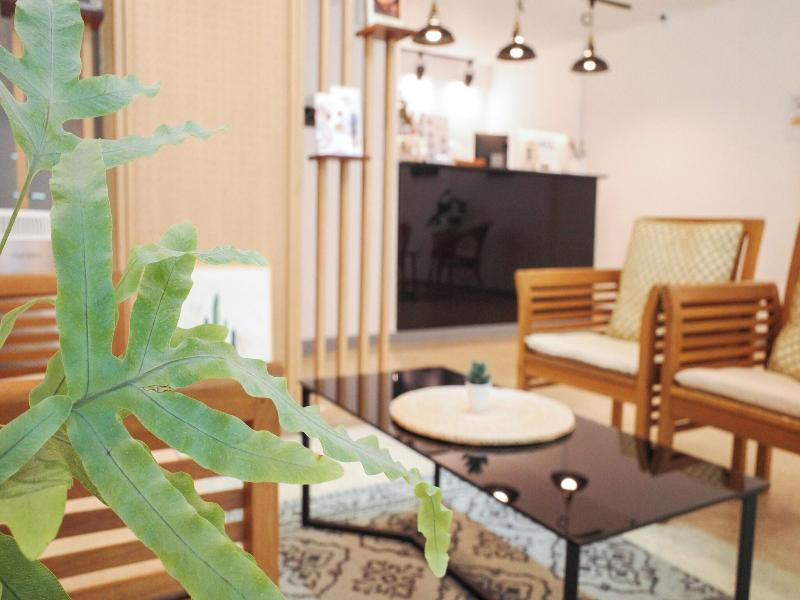 Starria Hostel image