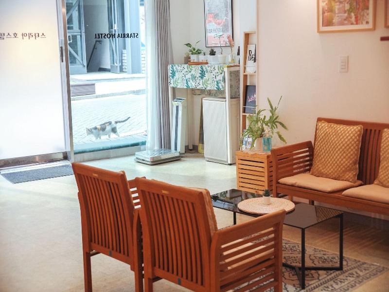 Starria Hostel image
