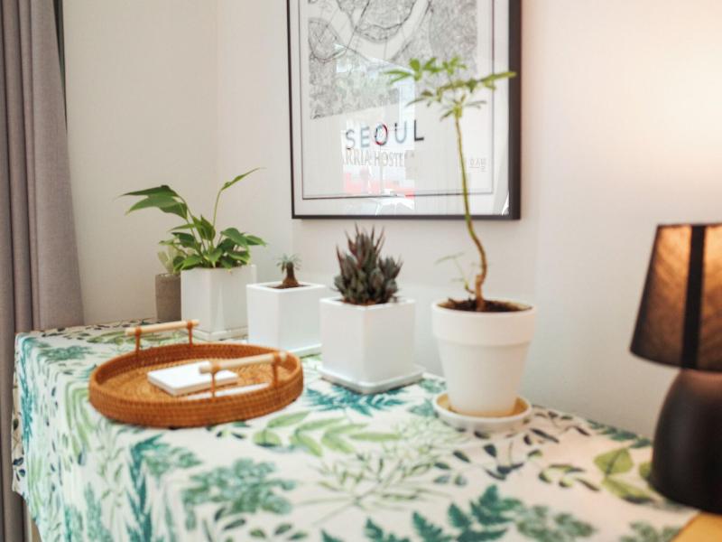 Starria Hostel image