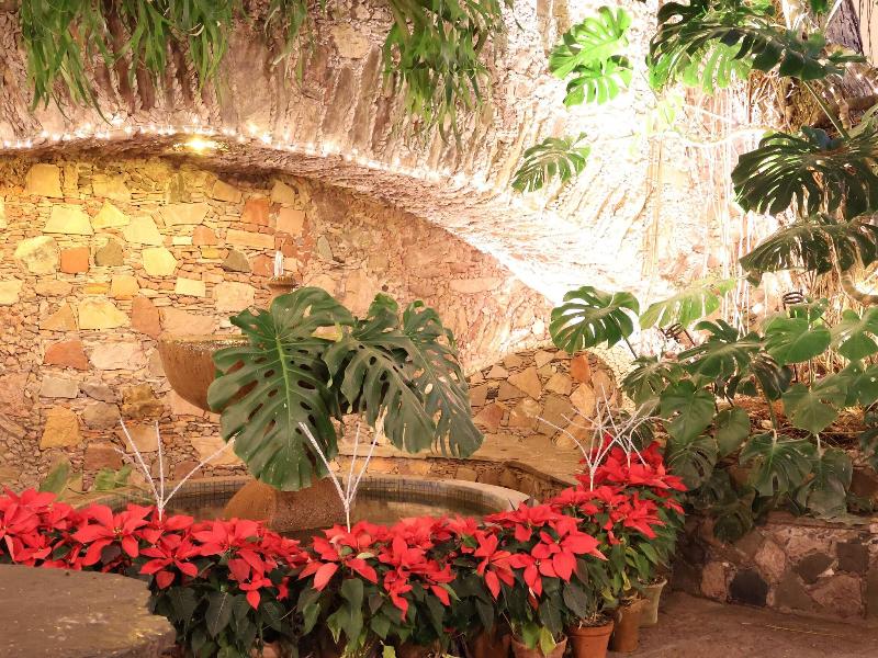 Los Arcos image