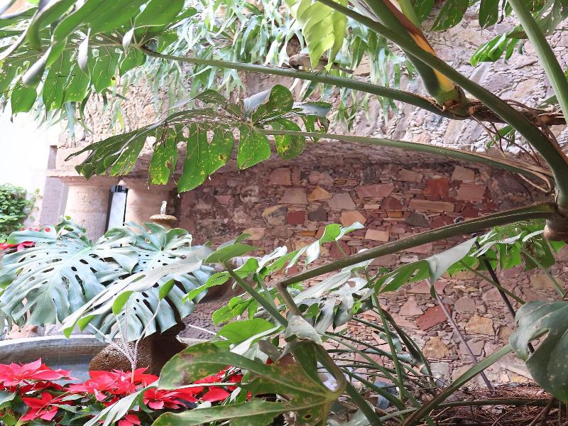 Los Arcos image