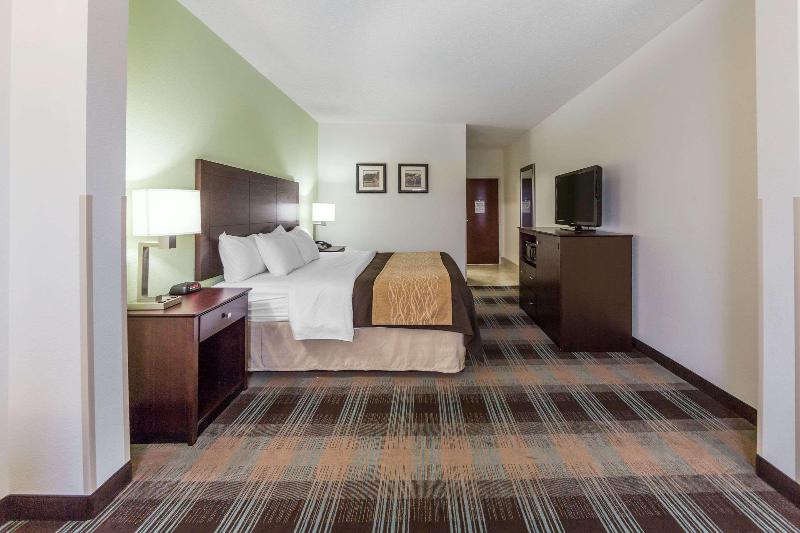Comfort Inn Lexington South image