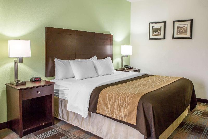 Comfort Inn Lexington South image