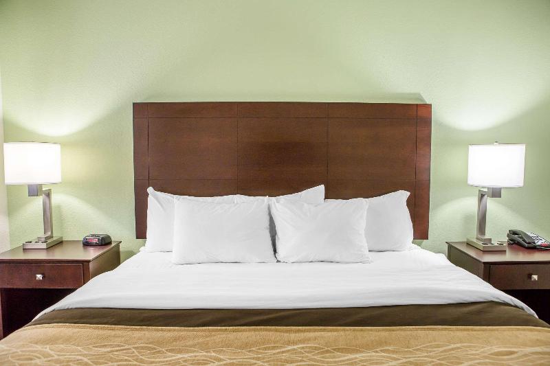 Comfort Inn Lexington South image