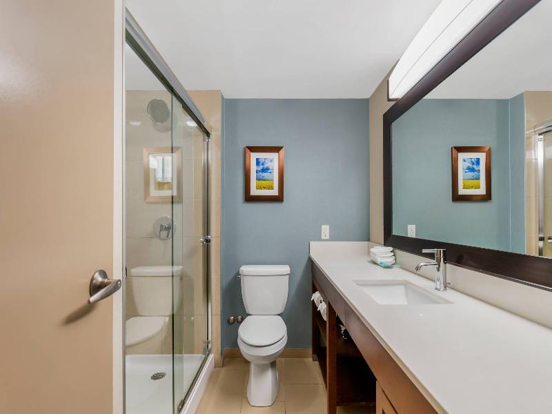Clarion Hotel & Suites Brandon image