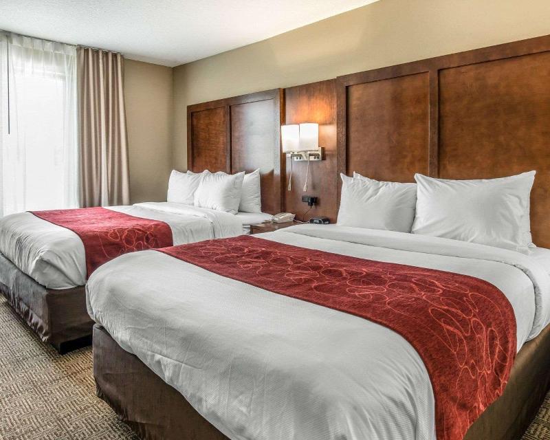 Comfort Suites near Rainbow Springs image