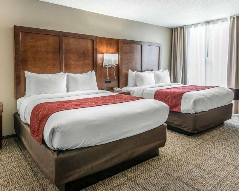 Comfort Suites near Rainbow Springs image