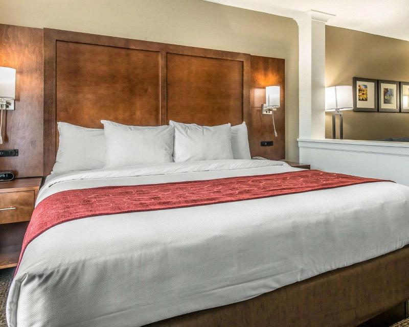 Comfort Suites near Rainbow Springs image