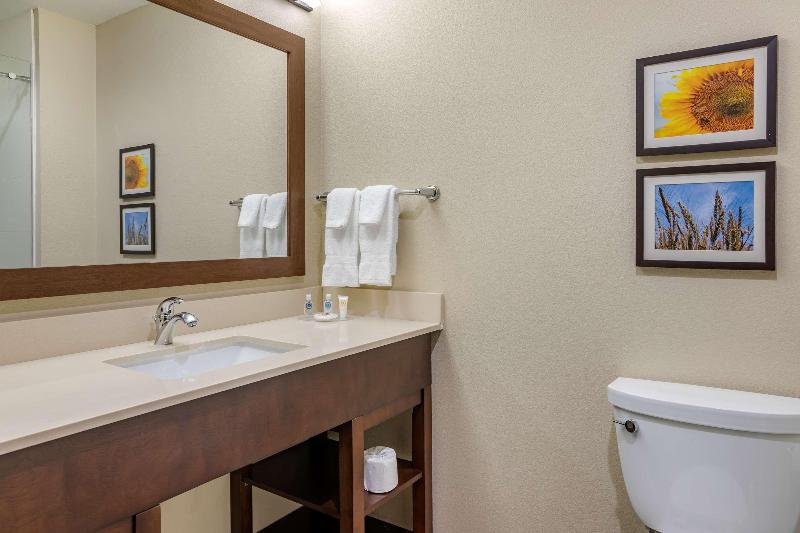 Comfort Inn & Suites Augusta image