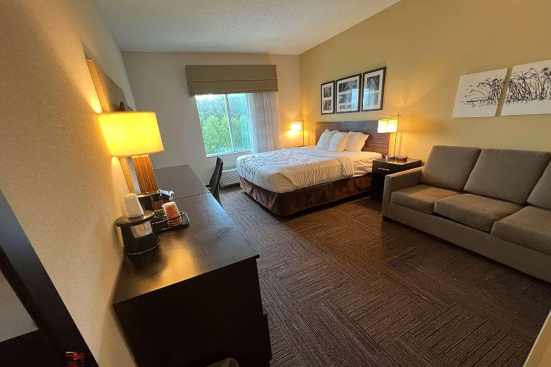 Wingate By Wyndham Jonesboro La image