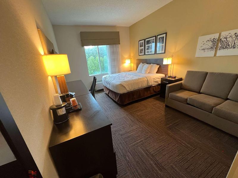 Wingate By Wyndham Jonesboro La image