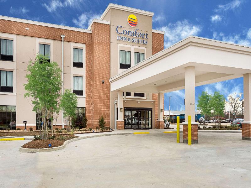 Comfort Inn & Suites Zachary image