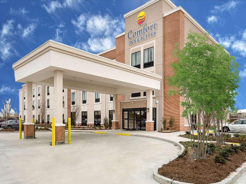 Comfort Inn & Suites Zachary image