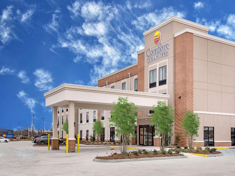 Comfort Inn & Suites Zachary image