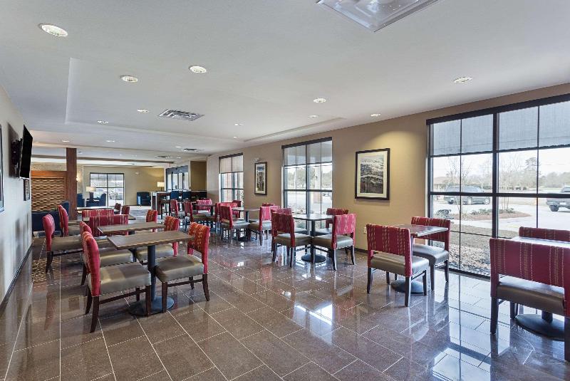 Comfort Inn & Suites Zachary image 4