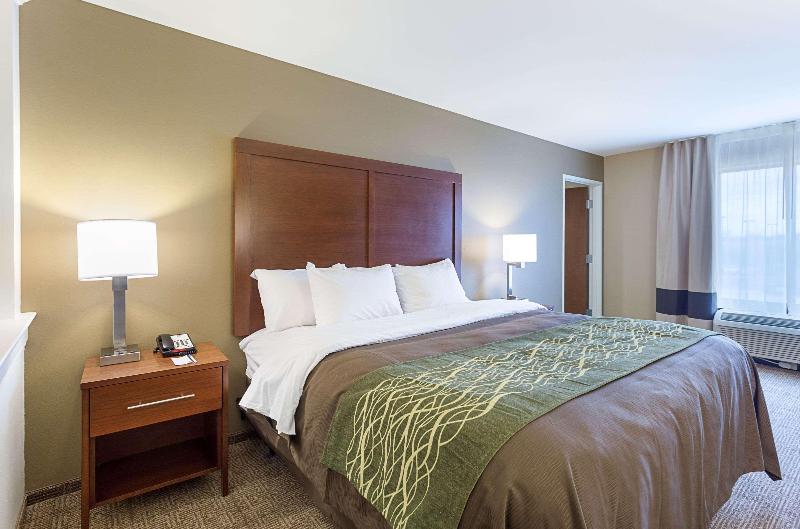Comfort Inn & Suites Zachary image