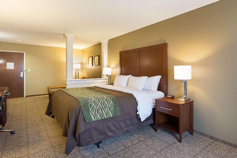 Comfort Inn & Suites Zachary image
