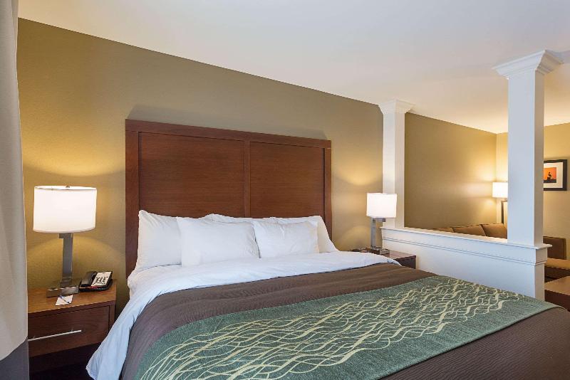 Comfort Inn & Suites Zachary image
