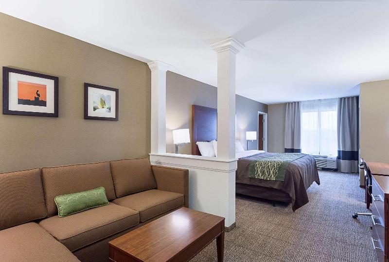 Comfort Inn & Suites Zachary image