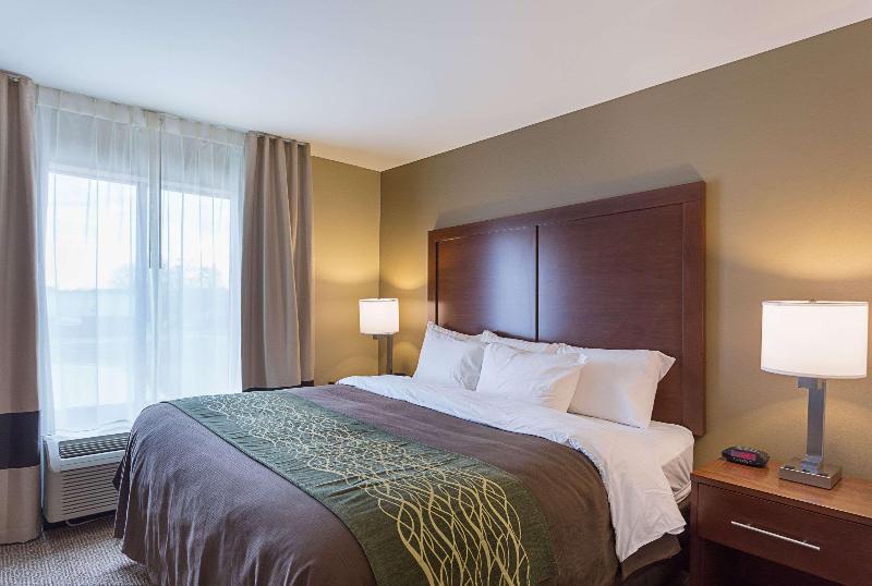 Comfort Inn & Suites Zachary image