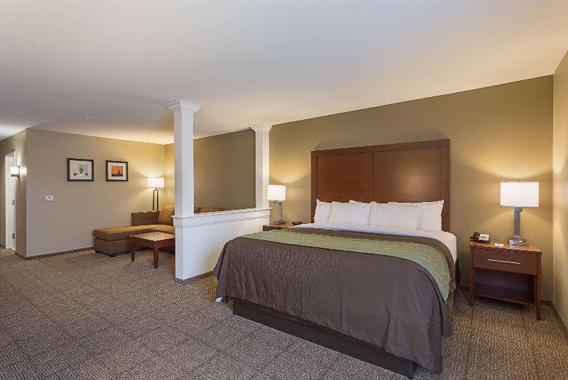 Comfort Inn & Suites Zachary image