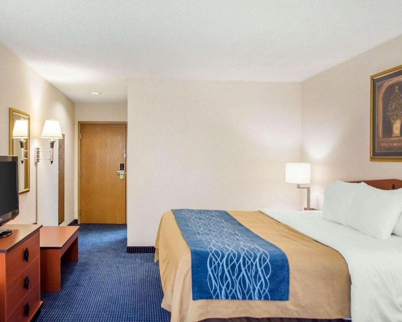 Comfort Inn Piketon image