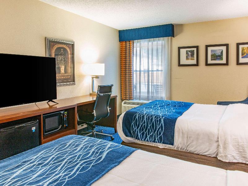Comfort Inn Piketon image