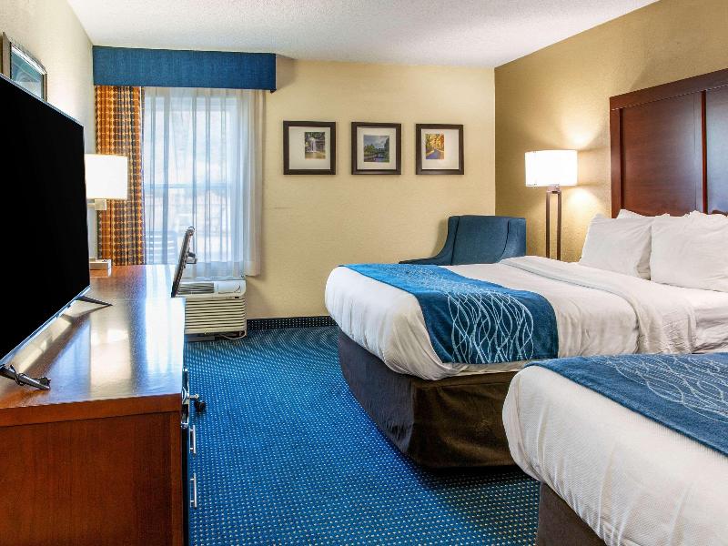 Comfort Inn Piketon image