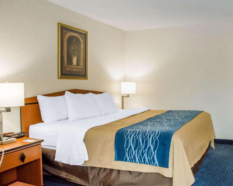Comfort Inn Piketon image