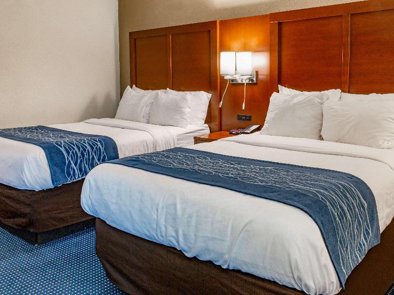 Comfort Inn Piketon image