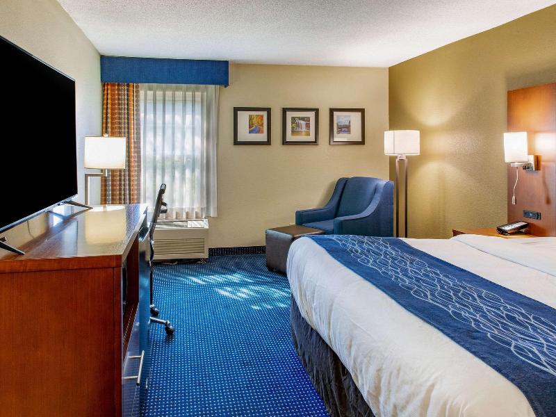Comfort Inn Piketon image