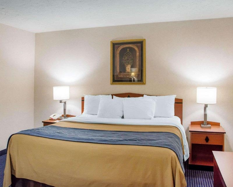 Comfort Inn Piketon image