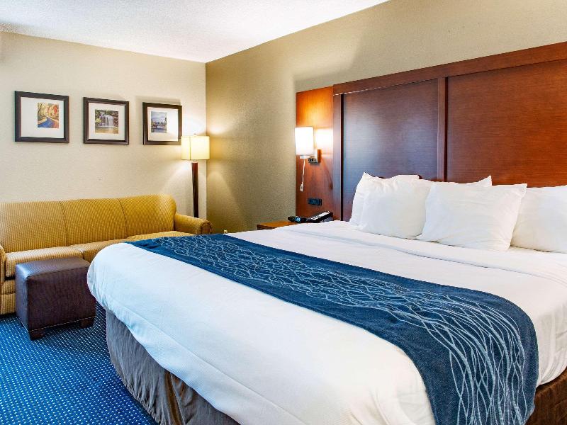 Comfort Inn Piketon image