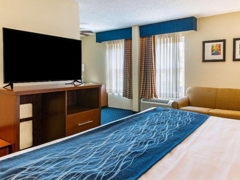 Comfort Inn Piketon image