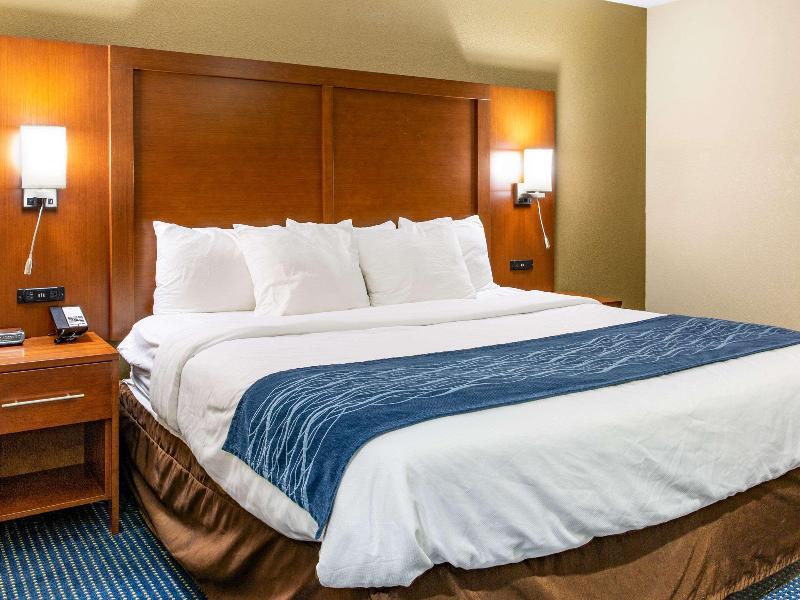 Comfort Inn Piketon image